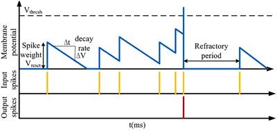 Efficient Spike-Driven Learning With Dendritic Event-Based Processing